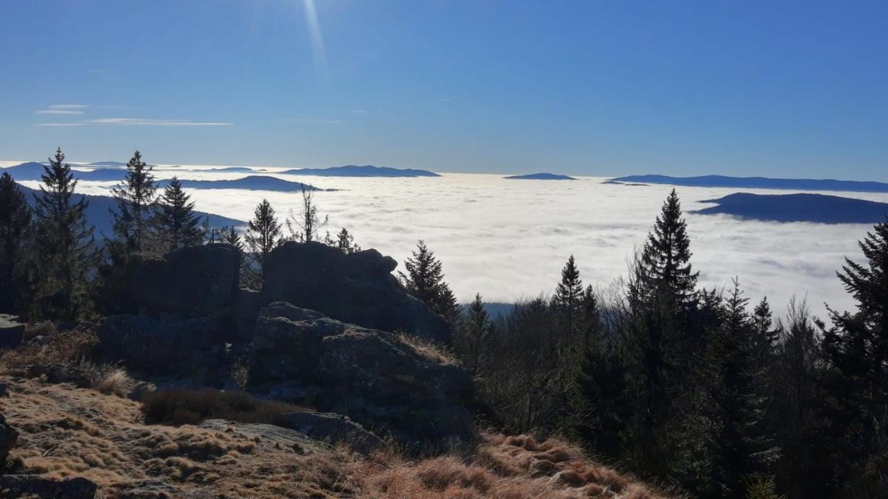 Ferienwohnung Wildgatter Grafenwiesen Esterno foto