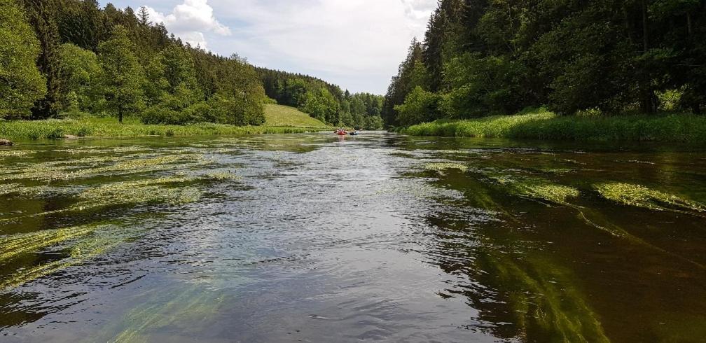 Ferienwohnung Wildgatter Grafenwiesen Esterno foto