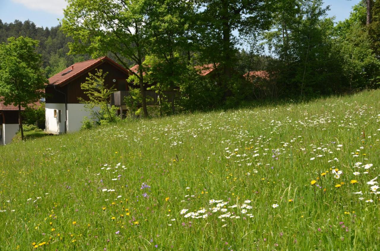 Ferienwohnung Wildgatter Grafenwiesen Esterno foto