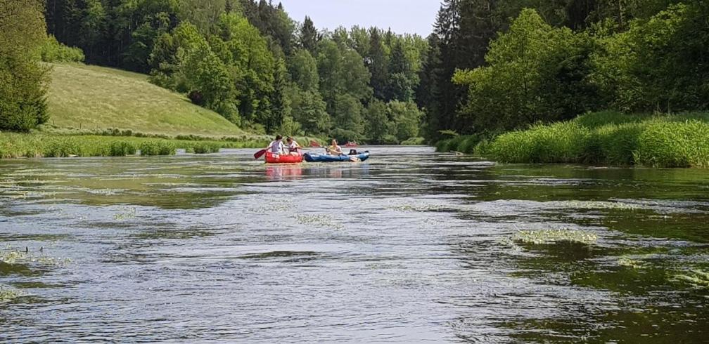 Ferienwohnung Wildgatter Grafenwiesen Esterno foto